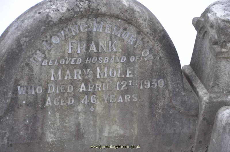 Mole 1 - Frank (husband of Mary)