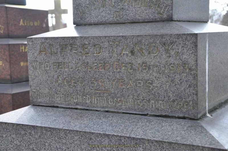 Tandy - Alfred