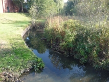 Cradley Heath - River Stour 2009