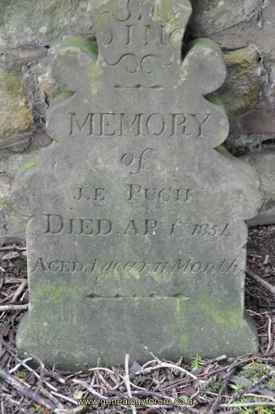 Pugh - J E