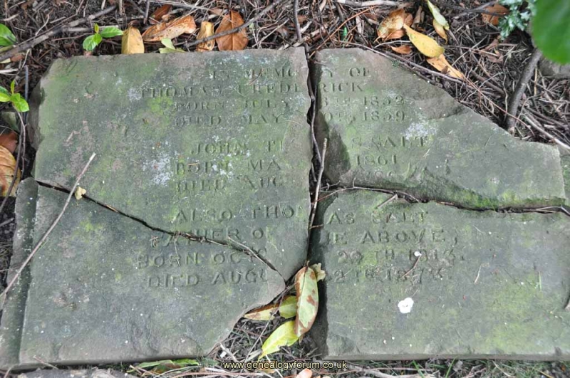 Salt - Thomas, John Thomas & Thomas Frederick