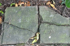 Salt - Thomas, John Thomas & Thomas Frederick