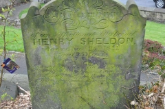 Sheldon - Henry