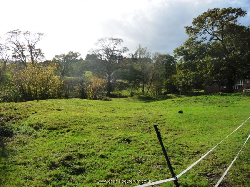 Halesowen Abbey - area with dam and fishponds (2009)