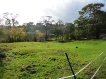 Halesowen Abbey - area with dam and fishponds (2009)