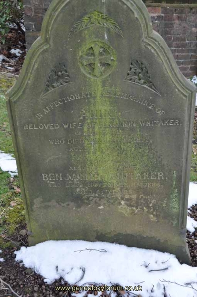 Whitaker - Benjamin, Anne