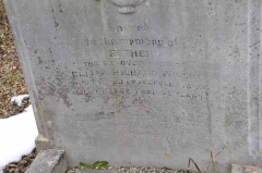 Wilcox - Elijah Richard, Esther