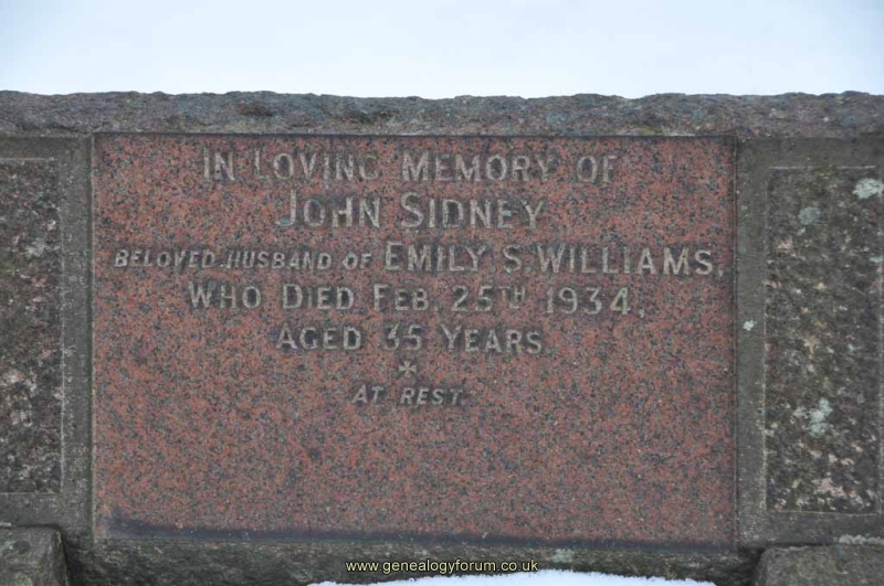 Williams - John Sidney (husband of Emily)