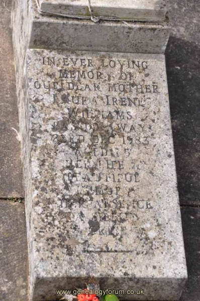 Williams - Laura Irene