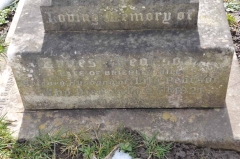 Pearson 1 - Ernest (husband of Lily)