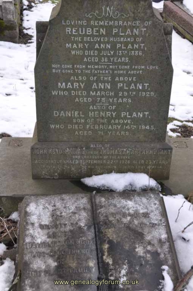 Plant/Cook