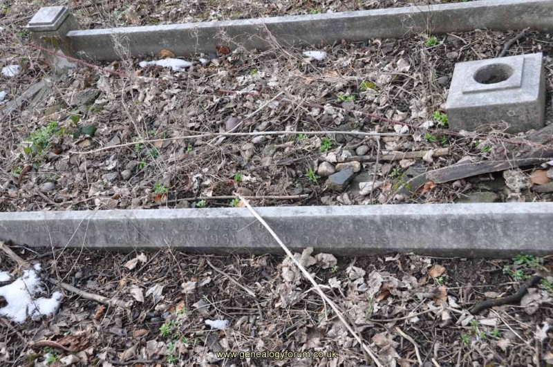 Plant 1 - George