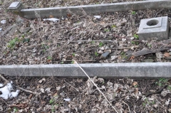 Plant 1 - George