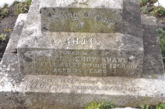 Share - Kate (wife of Alfred Henry)