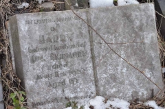 Skidmore - Harry (husband of Ida)