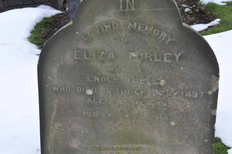 Turley - Eliza (wife of Enoch)