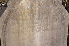 Vaughan - Henry (son of Benjamin & Maria or Mary?)