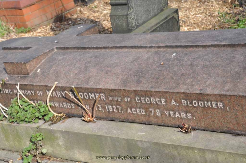 Bloomer 3 - Mary (wife of George)
