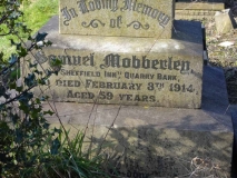 Mobberley - Samuel