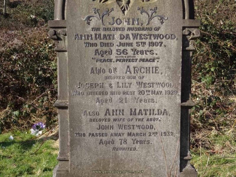 Westwood - John, Ann Matilda also Archie (son of Joseph & Lily Westwood)