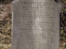 Cox - John & Caroline and dau Gertrude Ethel Elsie
