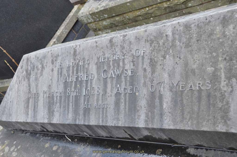 Cawse 1 - Alfred
