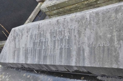 Cawse 1 - Alfred