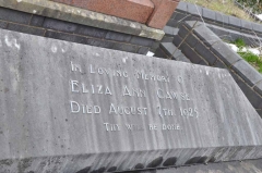 Cawse 1 - Eliza Ann
