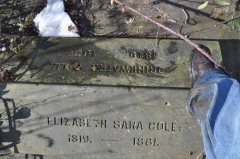 Cole/Higgs 1