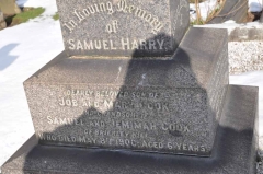 Cook 1 - Samuel Harry