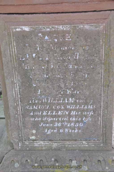 Cox Williams 1a