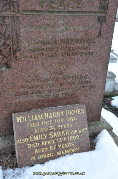 Davies - William Henry, Elizabeth Matilda & William Harry, Emily Sarah