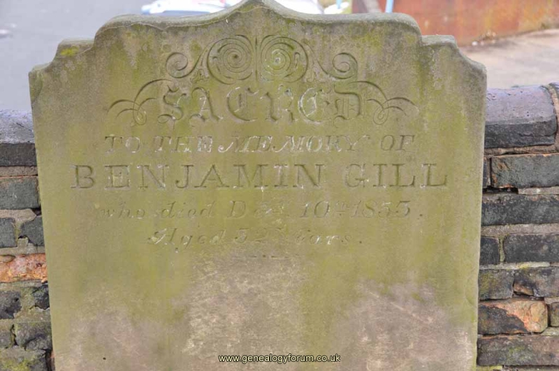 Gill - Benjamin