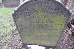 Green - Enoch