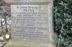 Harris 1 - Peter & sister Sarah A Pearson