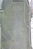 Harrop/Smith