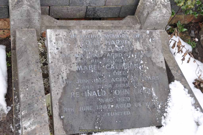 Harvey - John, Mabel & son Reginald John