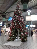Netherlands - Schiphol Airport, Amsterdam (2009)