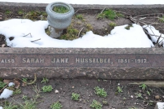 Husslebee 1 - Sarah Jane