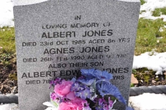 Jones - Albert, Agnes & son Albert Edward