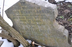Lander - George Henry, Sarah Elizabeth