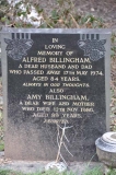 Billingham - Alfred, Amy
