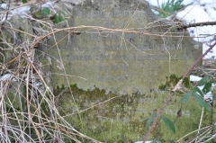 Billingham - Deborah (wife of Henry)