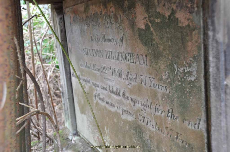 Billingham - Silvanus