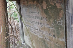 Billingham - Silvanus