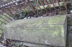 Billingham 1 - Jesse, Sarah Ellen