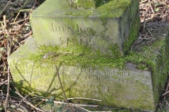 Burchill - Sarah (wife of George)
