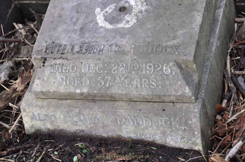 Craddock - William, Flora