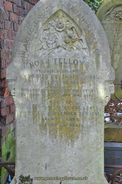 Fellows - Noah, Jane