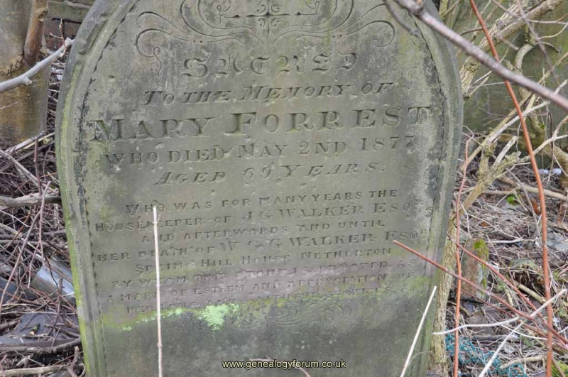 Forrest - Mary